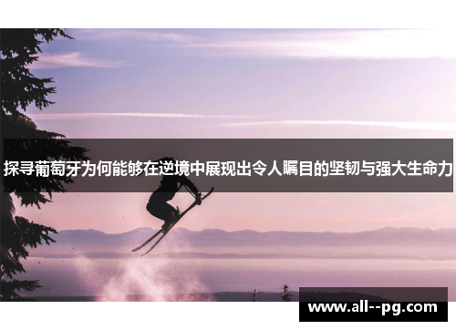 探寻葡萄牙为何能够在逆境中展现出令人瞩目的坚韧与强大生命力