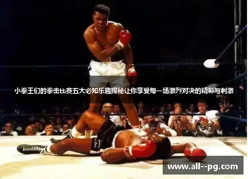 小拳王们的拳击比赛五大必知乐趣揭秘让你享受每一场激烈对决的精彩与刺激