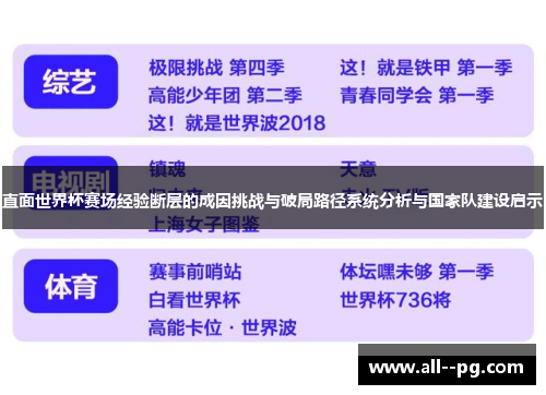 直面世界杯赛场经验断层的成因挑战与破局路径系统分析与国家队建设启示