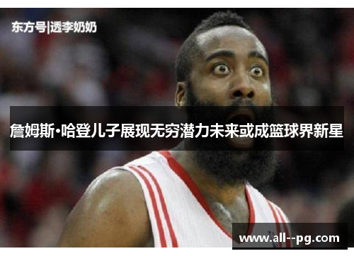 詹姆斯·哈登儿子展现无穷潜力未来或成篮球界新星 詹姆斯·哈登儿子展现无穷潜力未来或成篮球界新星